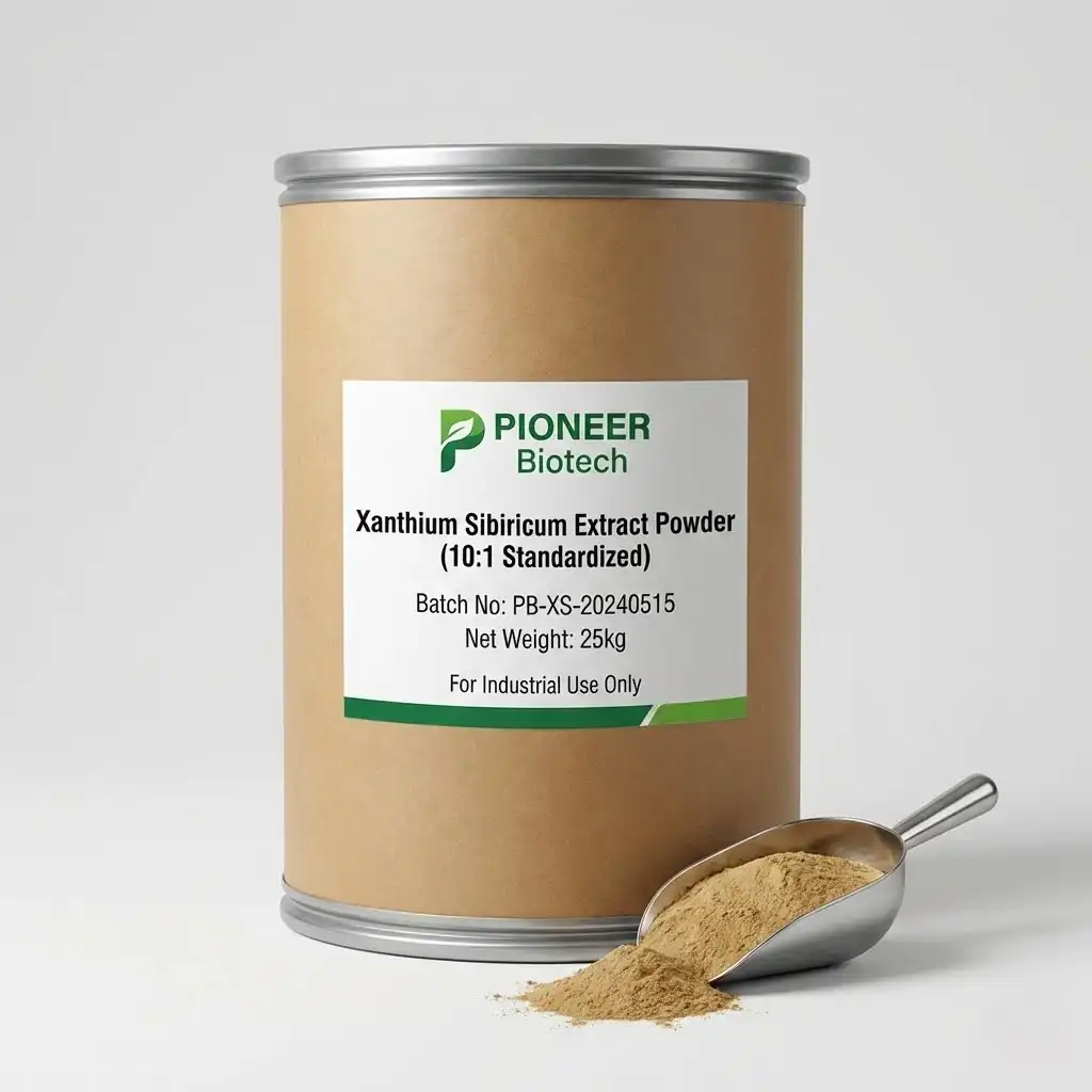 Choosing a Reliable Xanthium Sibiricum Extract Supplier